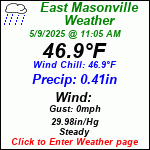 Current Weather Conditions in East Masonville, NY