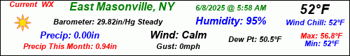 Current Weather Conditions in East Masonville, NY