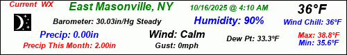Current Weather Conditions in East Masonville, NY