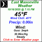 Current Weather Conditions in East Masonville, NY