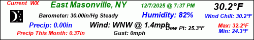 Current Weather Conditions in East Masonville, NY