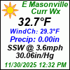 Current Weather Conditions in East Masonville, NY
