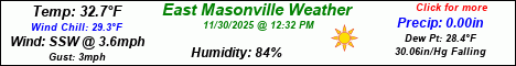 Current Weather Conditions in East Masonville, NY