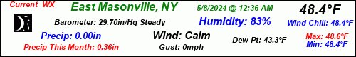 Current Weather Conditions in East Masonville, NY
